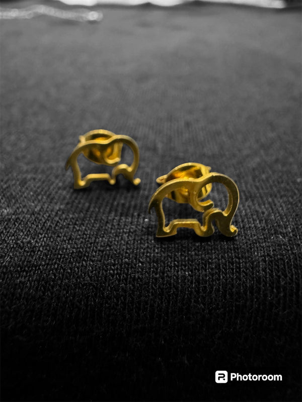 Elephant earrings & necklace